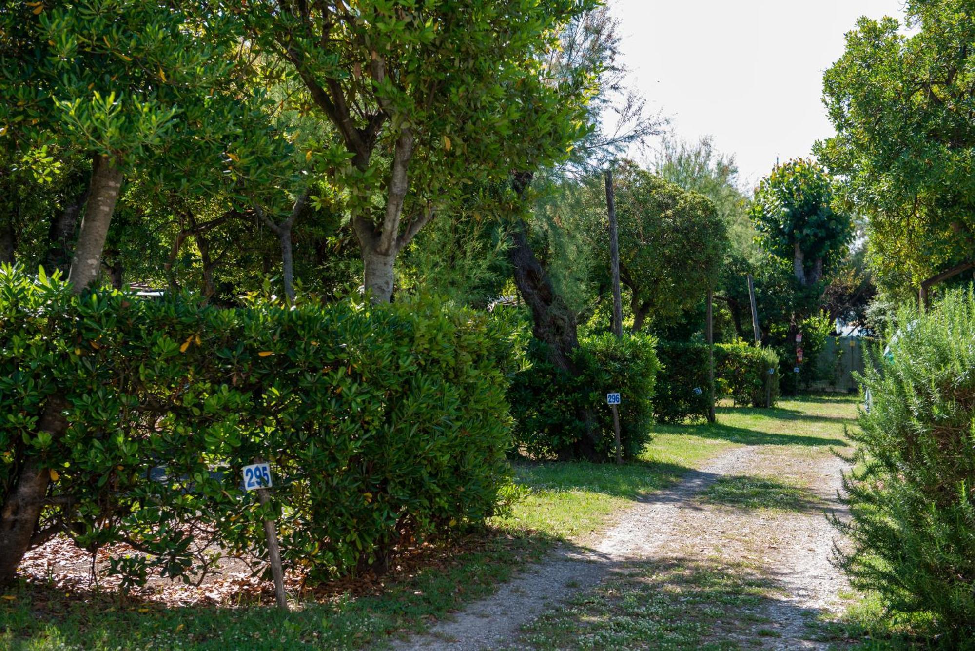 Campeggio Bocca Di Cecina Marina di Cecina Zewnętrze zdjęcie